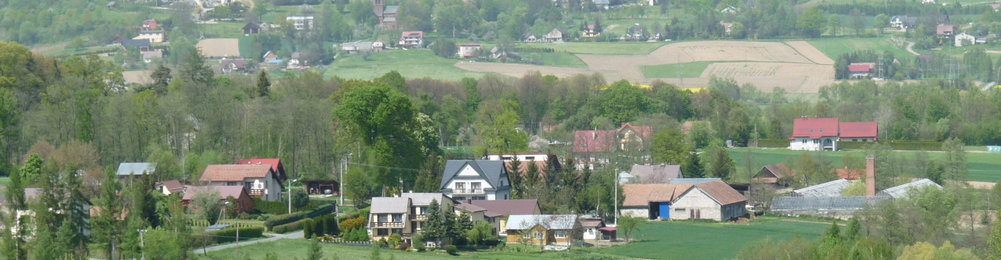 Buchcice